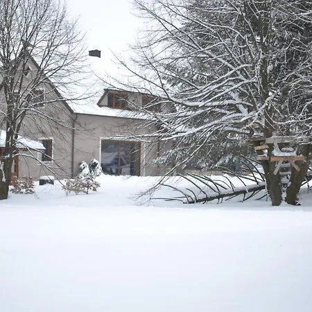 Mamut * 로즈바도프